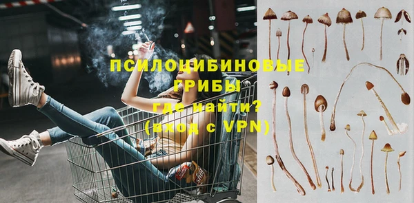 прущие грибы Володарск