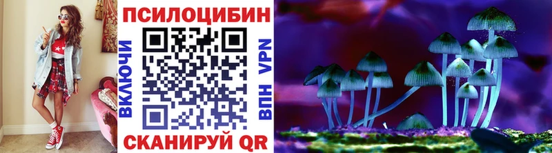хочу   Певек  kraken ТОР  Галлюциногенные грибы MAGIC MUSHROOMS 
